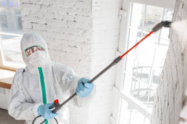 Dehumidification Services in Hyde, PA