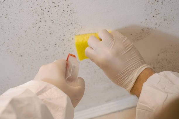 Best Indoor Air Quality Assessment  in Hyde, PA
